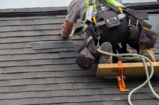 Best Roof Repair Services  in Rush City, MN