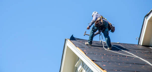 Best Gutter Installation and Roofing  in Rush City, MN